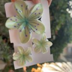 Flower Claw Clip set 2