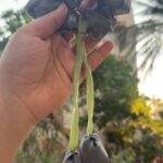 Hand holding a gray fabric flower garland with green fabric stems outdoors.1